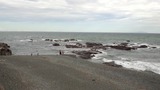 59c8e010.jpg