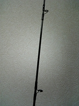 81c919f8.jpg