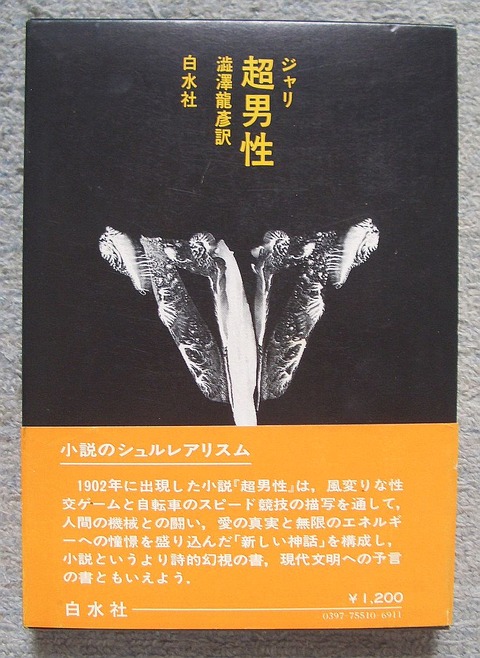 超男性1