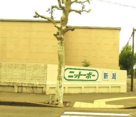 ¿·³ã»ÔÅì¶èÅì¿·Ä®6-50_ÆüÅìËÂÀÓ (5)