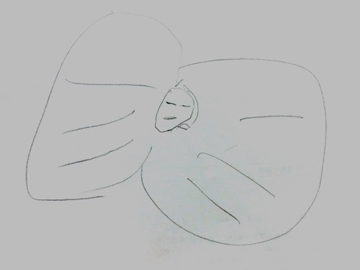 Éã¤Î³¨