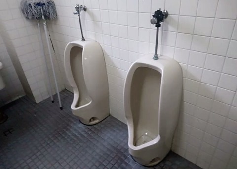 本日のまとめ。珍カラー。 : トイレ取材日記