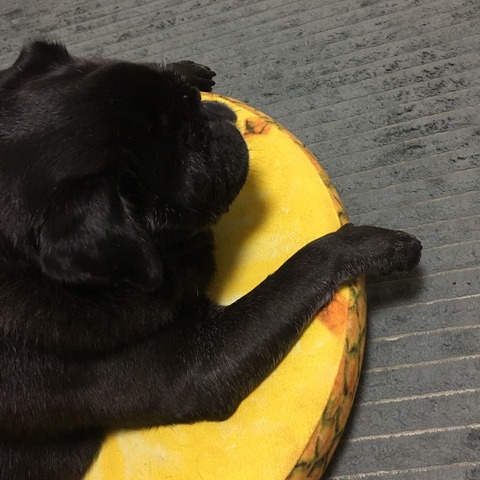 F3A7FCE9-6A98-4BE4-AFD4-D084DE3886FF