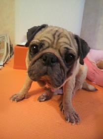 photo_006562_1