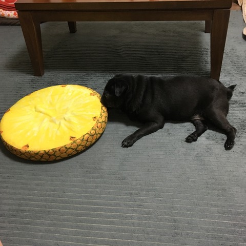 25C25528-E05A-4056-818D-278DF9ADA526