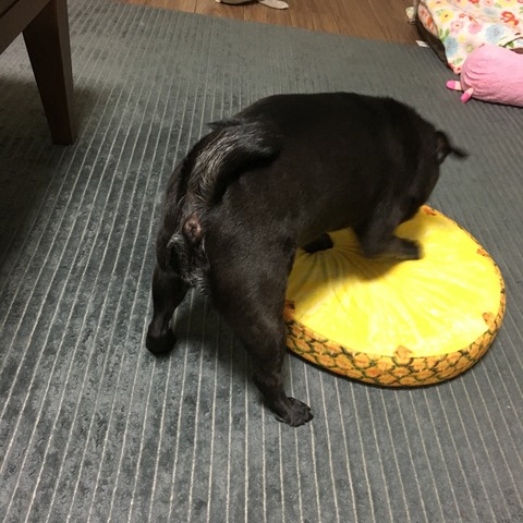 337A89A4-6936-4A08-9E73-D4674F6B244D