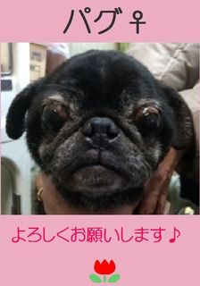 timgd107872