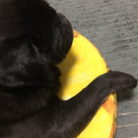 7EFAE4E3-DE5D-45B7-8530-55FC41F79F3B