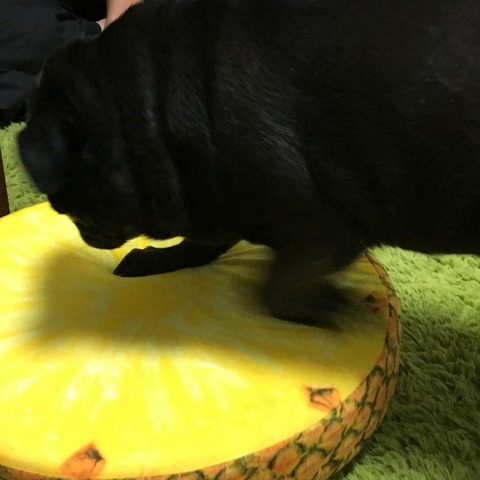 6B3C7E74-0A38-457D-B420-D0D17E7A7362