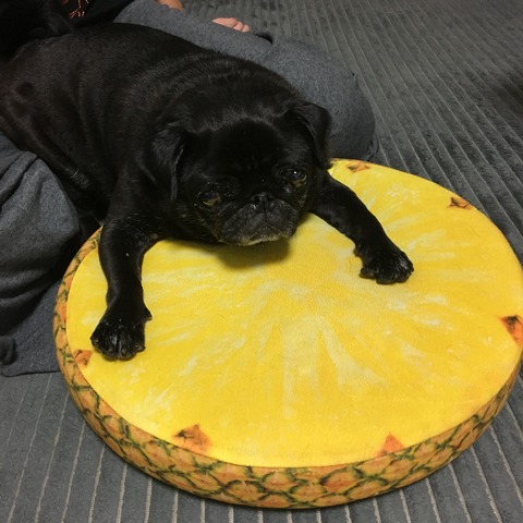 6CF9DB62-8332-4438-87DA-B2DAAF3702B3