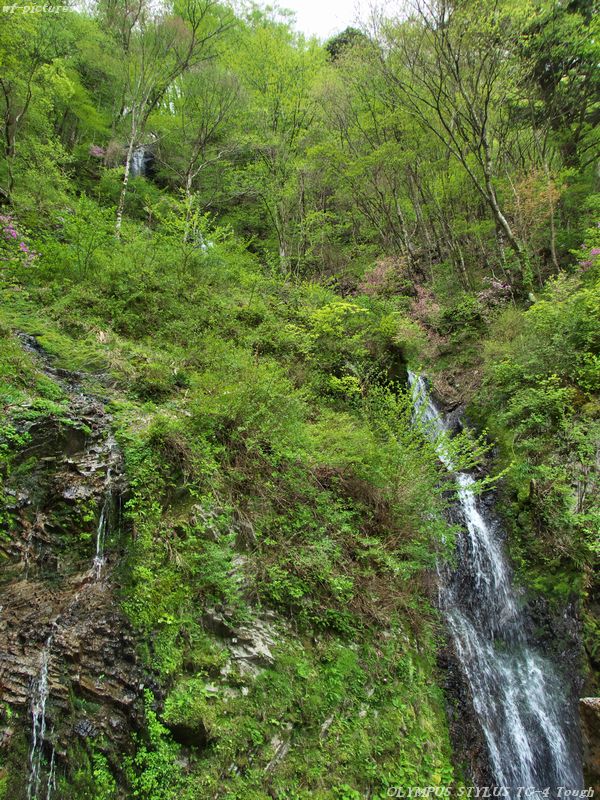 20160429_019