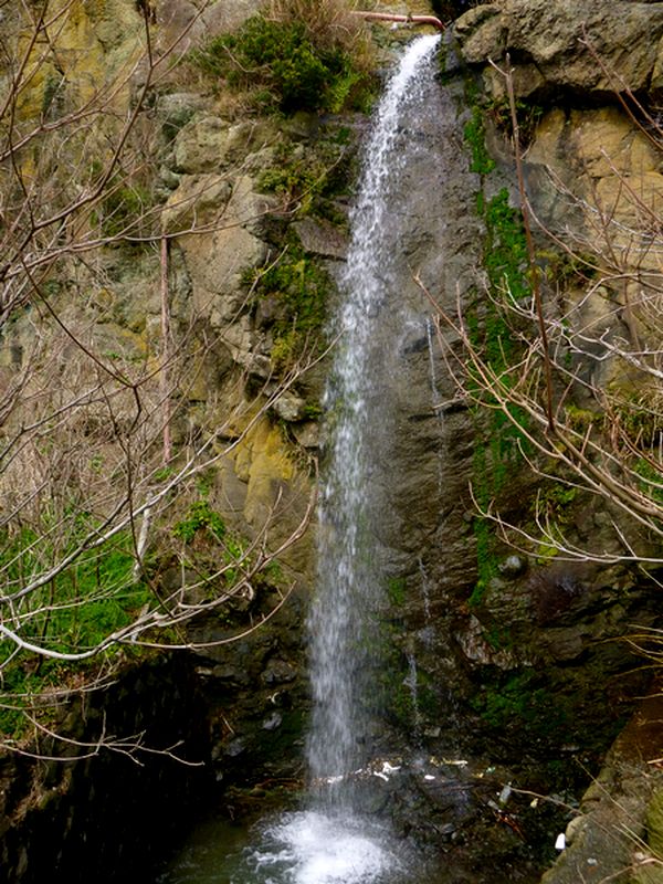 20170305_023