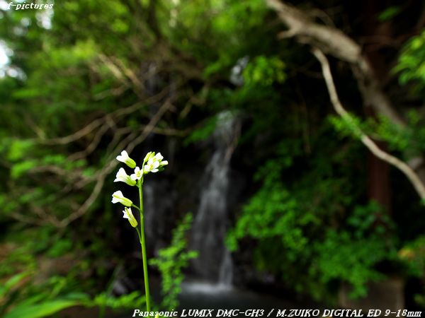 20170507_007