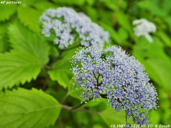 20170618_004