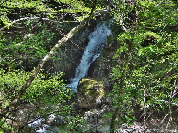 20160429_124
