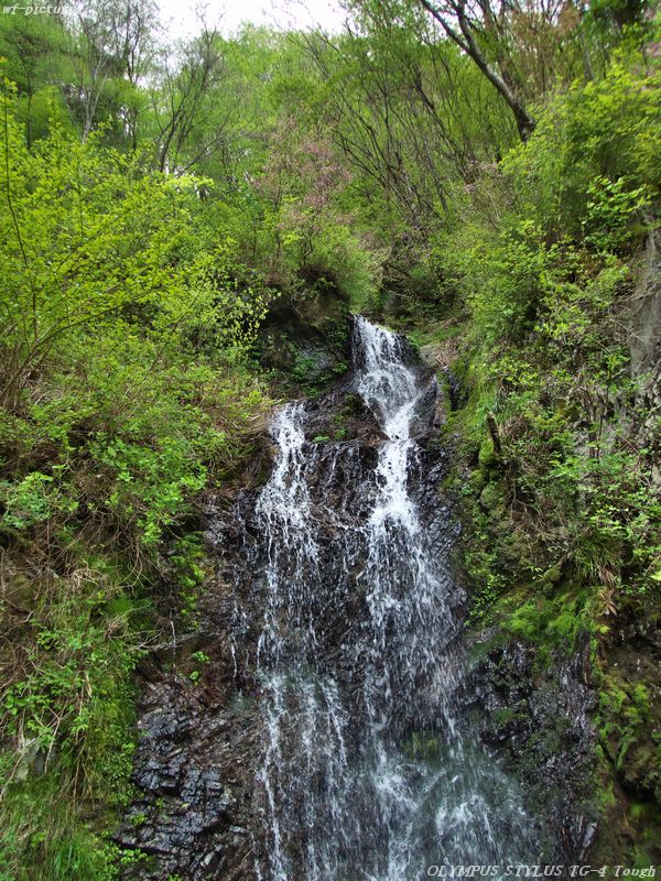 20160429_018