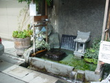 湧き水