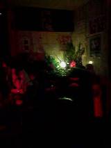 jungle