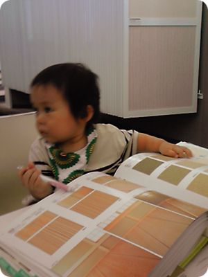 最良の選択をすべく、壁紙について吟味するベビィ:生後486日(1年4ヶ月と1週目)