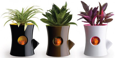 雑貨ブランド1Qualy《クオリー》 unique-self-watering-plant-pot-qualy