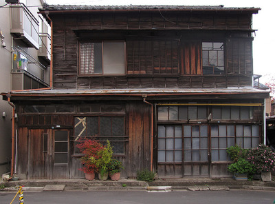 Tokyo Potted Gardens 東京植木鉢 Nemury