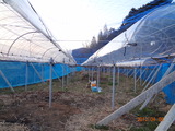 DSC00084