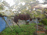 DSC00375