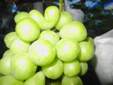 DSCN2736