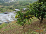 DSC00379
