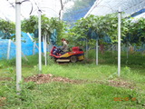 DSC00311