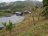DSC00378