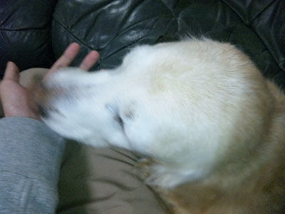 blog6