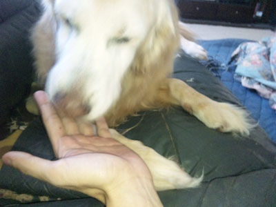 blog7