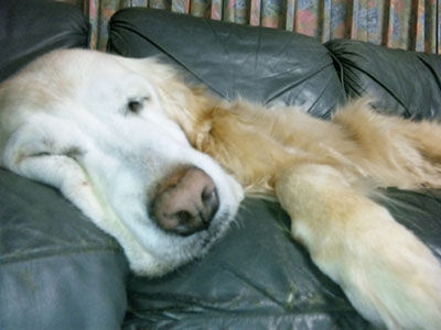 blog1