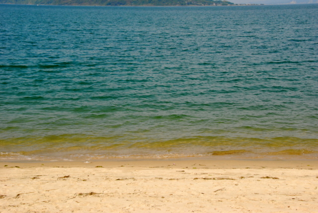 DSC_0956-2