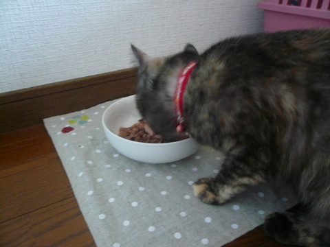 9術後のお食事1