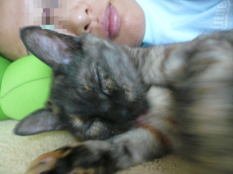 2012.8.15 寝子(ブログ用).JPG