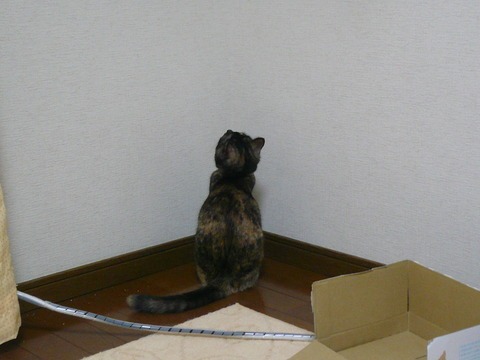 7なにかいる2