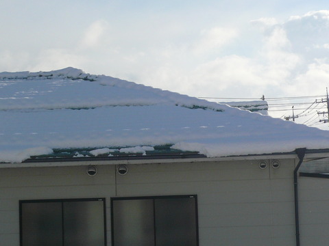 10雪!!1
