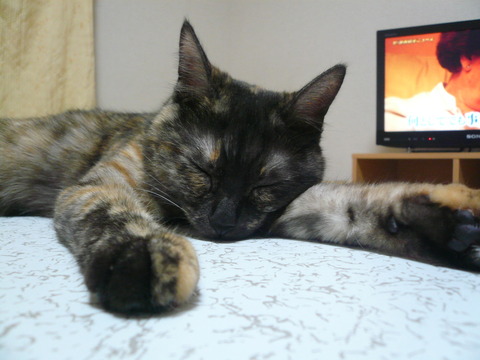 13でろん3