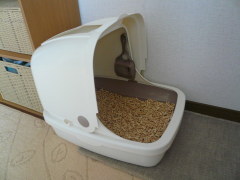 11エリザベス・サビィ用トイレ
