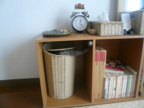 29ごみ入れからしっぽ