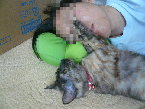 2012.8.15寝子4.JPG