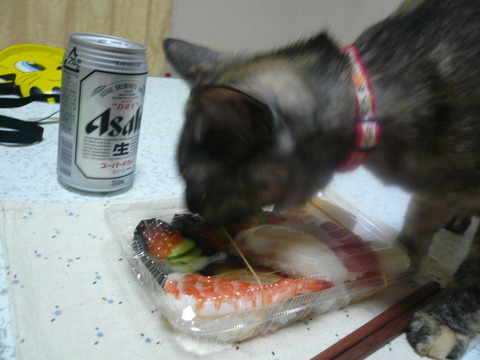 26夕食2