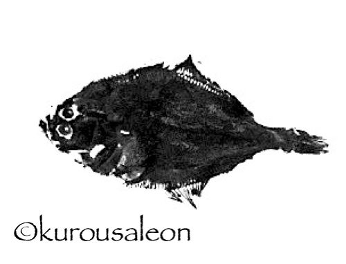 黒いうさぎのれおんくん 1