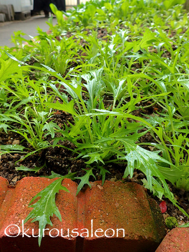 P1220211
