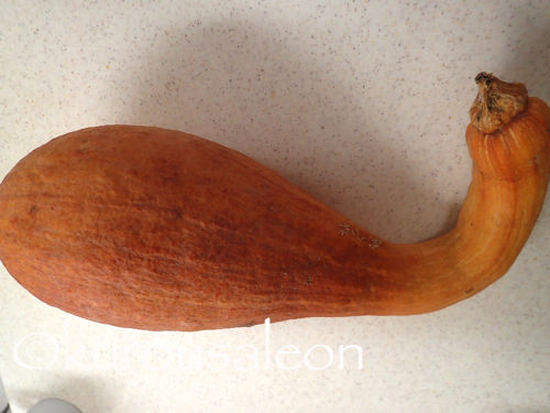P1250002