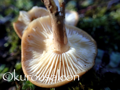 P1310058