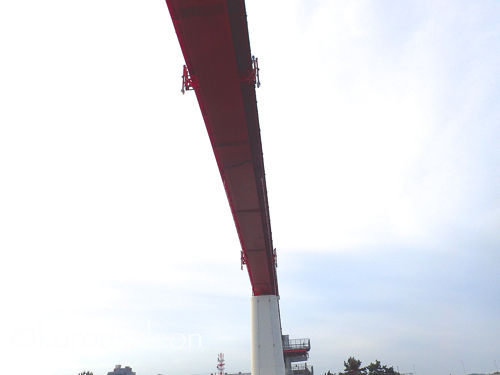 P5290024