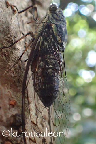 P9100127